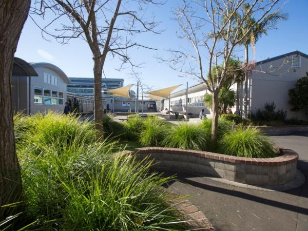 rangitoto college sound garden