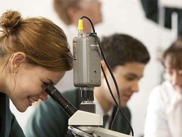 schueleraustausch-australien-schulwahl-the-forest-high-school-unterricht