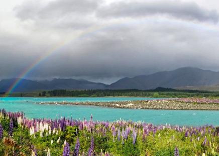 Work and Travel Neuseeland lake tekapo